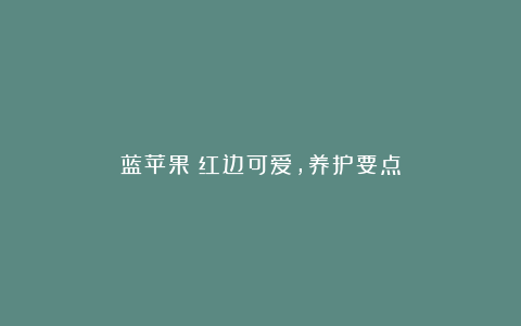 蓝苹果：红边可爱，养护要点