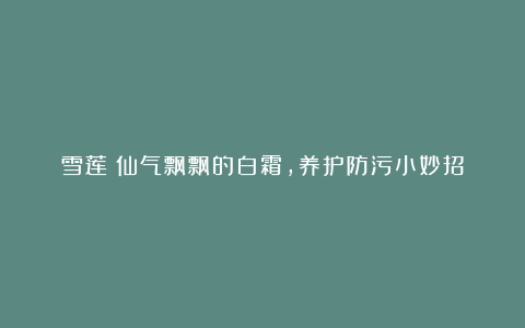 雪莲:仙气飘飘的白霜,养护防污小妙招