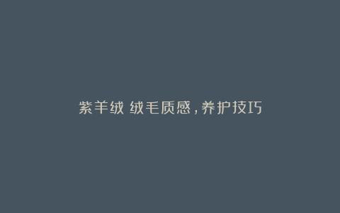 紫羊绒：绒毛质感，养护技巧