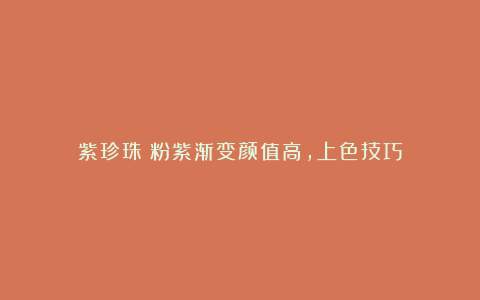 紫珍珠：粉紫渐变颜值高，上色技巧