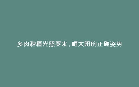 多肉种植光照要求,晒太阳的正确姿势