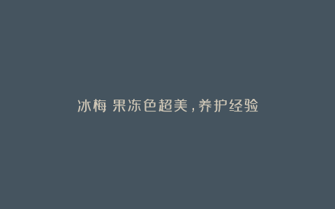 冰梅:果冻色超美,养护经验