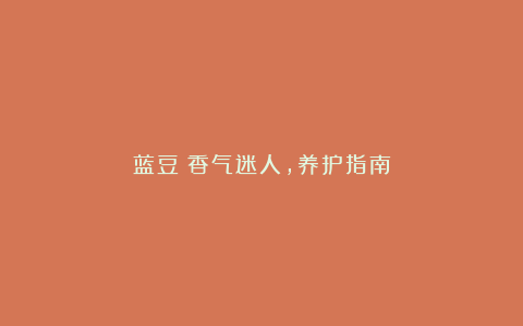 蓝豆:香气迷人,养护指南