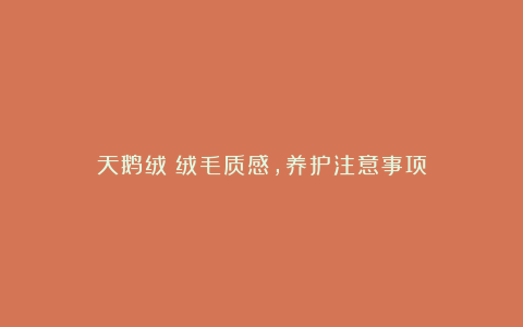 天鹅绒：绒毛质感，养护注意事项