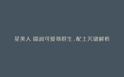 星美人:圆润可爱易群生,配土关键解析